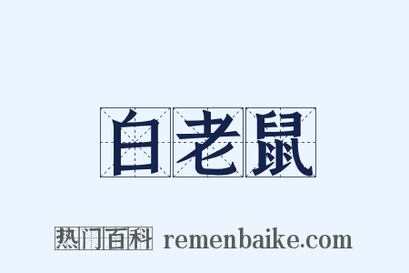 白老鼠是什么意思的图片